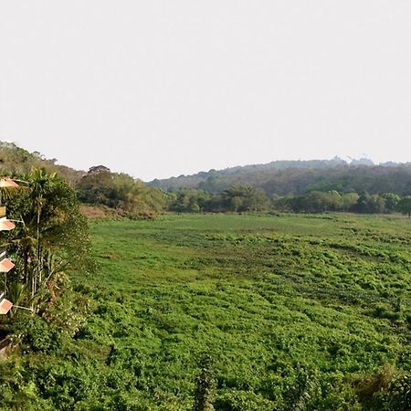 Jungle Palace Homestay Thekkady Extérieur photo