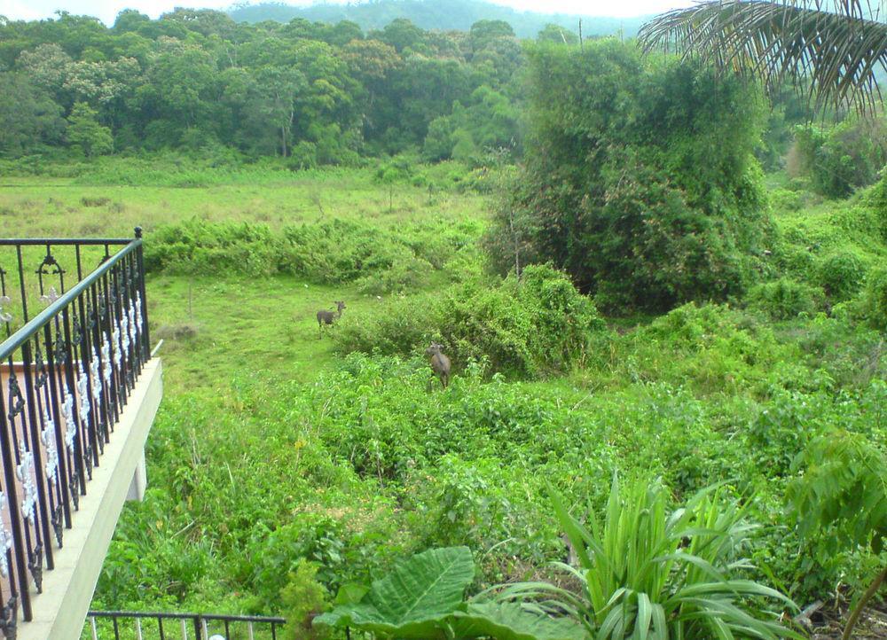 Jungle Palace Homestay Thekkady Extérieur photo