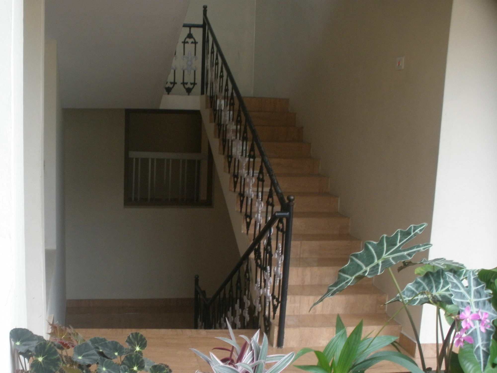 Jungle Palace Homestay Thekkady Extérieur photo